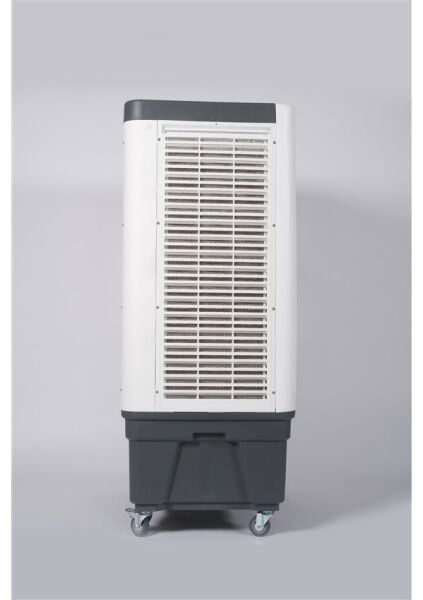 Kabel Salon Plus Maestro