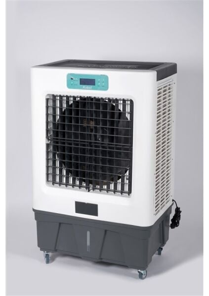 Kabel Salon Plus Maestro